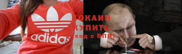 стаф Нефтегорск