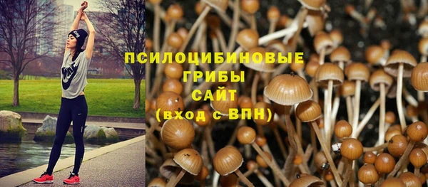 кристаллы Нея