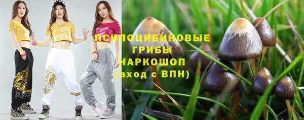 ГАЛЛЮЦИНОГЕННЫЕ ГРИБЫ Надым