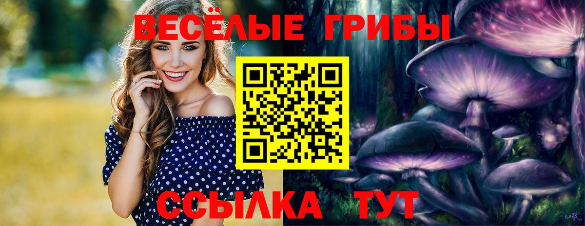 Омск  Галлюциногенные грибы мицелий  Галлюциногенные грибы ЛСД  купить наркотики сайты  Вход с VPN 
