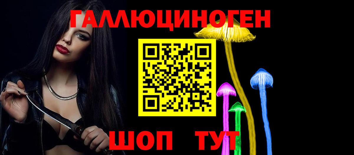 Галлюциногенные грибы Psilocybe Омск