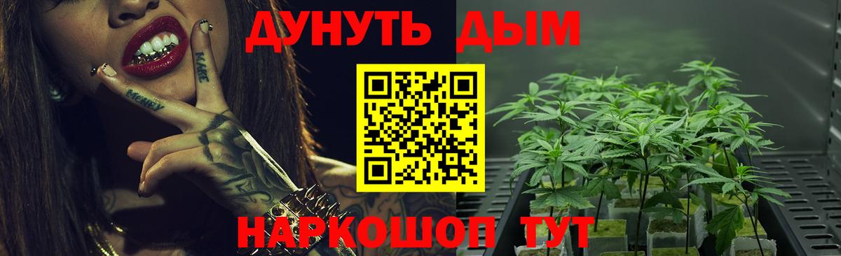 Омск  Бошки Шишки конопля  Вход с VPN  Каннабис VHQ  МАРИХУАНА VHQ  Бошки Шишки SATIVA & INDICA 